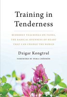 trainingintendernessbookcover